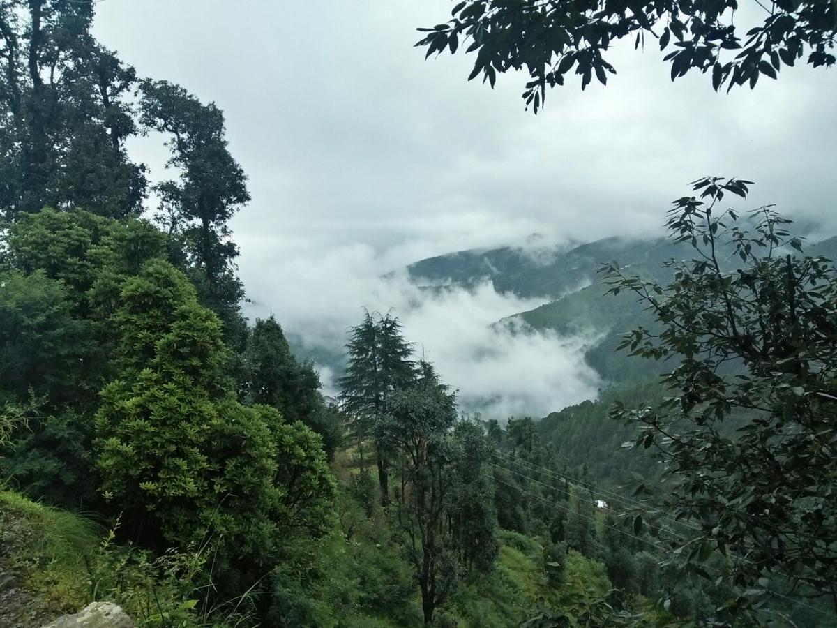 Отель Oyo 11877 Royal Residency New Tehri Номер фото